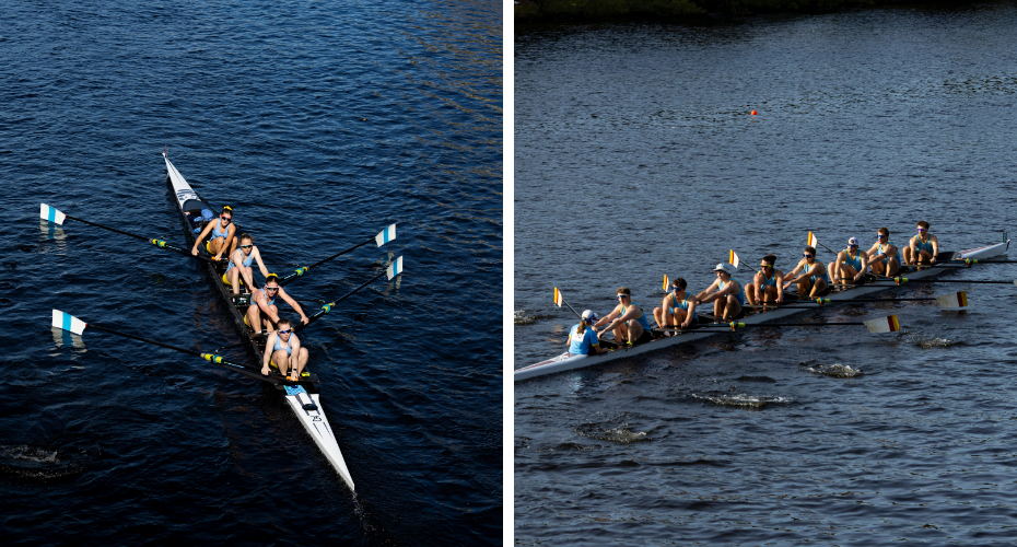 HOCR Report article image